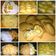 Cooksnap dari Siswaty Elfin Bachtiar untuk resep PASTEL ISI BIHUN SAYUR SUPERIOR