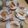 Cooksnap από Ζωη Κάρλα στη συνταγή Το ρυζογαλάκι μου !