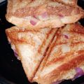 Tripti rajvanshi 's cooksnap of when they made Potato onion sandwich.