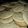El cooksnap de Mila cuando hizo Galletas choco chips.