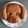 Cooksnap de laura sur la recette Cake au yaourt