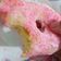 Cooksnap dari BundaJena untuk resep Donat Gula Warna Warni Empuk Puk Puk