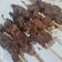 Cooksnap dari Dieni Fitriani untuk resep Sate Kambing Empuk dan Meresap Bumbunya