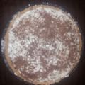 samantha.skye.filko's cooksnap of when they made Smores Pie.