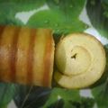 Cooksnap dari Krismanti Arifah untuk resep Roll cake almond flour #ketopad