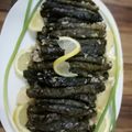 صورة من ضياء ، شاركها بعد تجربة وصفة محشي السلق