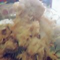 Cooksnap dari Ninik Apriana Sari untuk resep Usus Krispi #berburucelemekemas #resolusi2019