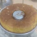 El cooksnap de Francesca Celmira garcia cuando hizo Torta de mandarina (en licuadora).