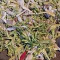 Cooksnap dari Ellyana Yusuf untuk resep Tumis Bunga Pepaya Teri (ga pahit)