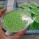 Cooksnap dari Mastika Mastika untuk resep Puding lumut hemat