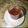 Asia Khanom Bushra's cooksnap of when they made মসলা চা.