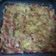 Amita Patel's cooksnap of when they made ઈટાલીયન લઝાનીયા (Italian Lasagna Recipe In Gujarati).