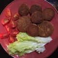 کوک اسنپ فرنوشی بعد از امتحان کردن فلافل جنوبی😋خودَم پز.