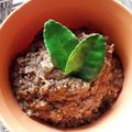 Cooksnap dari ayko untuk resep Bumbu pecel khas madiun