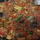 Cooksnap dari Amillia Putri untuk resep Tumis pedas kerang kupas