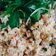 Cooksnap dari Ulya Khansa untuk resep Urap Tempe
