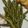 Steff Werley's cooksnap of when they made Fresh garlic green beans.