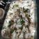 Pinal Patel's cooksnap of when they made દહીંવડા.