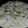 mehar khan's cooksnap of when they made Rusmalai.