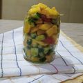 Asmara Rehan's cooksnap of when they made 3 coloured Mango Salsa.