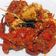 Cooksnap dari Kusuma Ningsih untuk resep Kepiting Saus Padang
