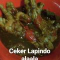 Cooksnap dari Desi Kurnianingsih untuk resep Ceker kuah pedas lapindo simpel