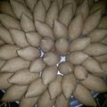 صورة من نورالهدى ام وعندي بنت 3صبيان، شاركها بعد تجربة وصفة الكبه (الشاميه)