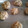 El cooksnap de Stefii ❤ cuando hizo Galletas de avena saludables.