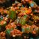 Shah Prity Shah Prity's cooksnap of when they made ભીંડા નું શાક (Bhinda Shak Recipe In Gujarati).