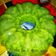 Cooksnap dari Mom Ray untuk resep Puding Ijo Lumut