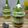 Cooksnap dari Mami Kenzie untuk resep Klepon cake in jar