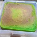 Cooksnap dari Lita Lestari untuk resep 10. Lapis Pulut khas sambas