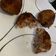 El cooksnap de Ana healthy cuando hizo Croquetas de atún y papa.