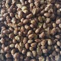 Cooksnap dari Umbuk Listyati untuk resep 9. Kacang Disco khas Bali