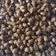 Cooksnap dari Umbuk Listyati untuk resep 9. Kacang Disco khas Bali