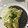 El cooksnap de Victor Garcia Heras cuando hizo Enchiladas verdes.