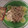 El cooksnap de Zully cuando hizo Pasta con camarones a los 4 quesos.
