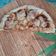 Cooksnap dari Tiwi Latief untuk resep Pizza (teflon)