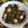Cooksnap dari Any Widiyanti untuk resep Tumis Buncis Tempe Telur Puyuh