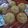 รูป Cooksnap ของ ทัศลักษณ์ เรือนทอง เมื่อเขาทำ 抹茶マドレーヌ Matcha madeleine มาเดอลีนชาเขียว