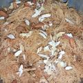 Aqsa mukhtiar's cooksnap of when they made Sawaiyon ka zarda.