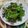 潘俊霖的(簡單料理) 的 豆豉山蘇 cooksnap