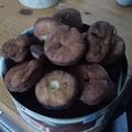 El cooksnap de Adriana Loyarte cuando hizo Tortas Fritas con manteca, levadura y huevo ☁.