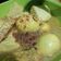 Cooksnap dari Rina Noviyanti untuk resep Terik Telur Tahu Tempe