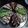 Cooksnap dari Anita Baker untuk resep Belajar topping donat yuk