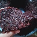 Cooksnap dari Ulfa Hubeis untuk resep Cake Caramel/Sarang semut