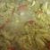 El cooksnap de preso cuando hizo Arroz con pollo al azafrán.