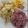 bet's cooksnap of when they made Cabbage and Tuna Stir-Fry.