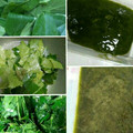 Cooksnap dari Neneng Nani Flashin untuk resep CINCAU HIJAU