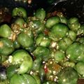 Cooksnap dari Ratna Prastika untuk resep Karedok Leunca